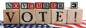 Vote November 3
